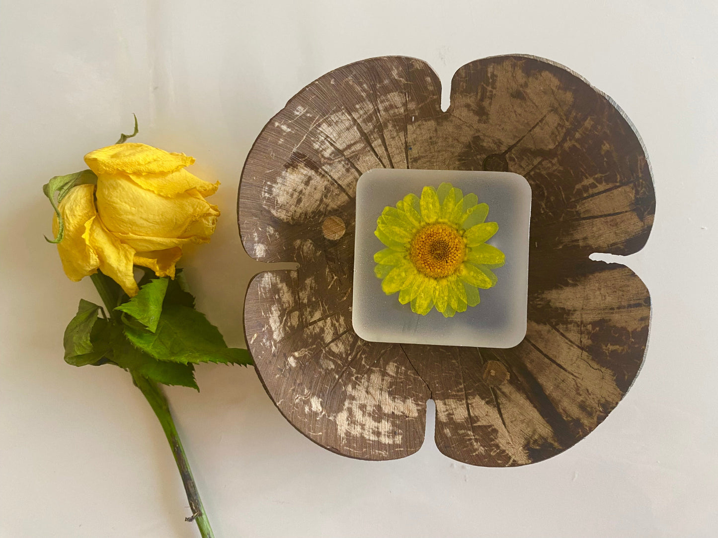 Botanical soap