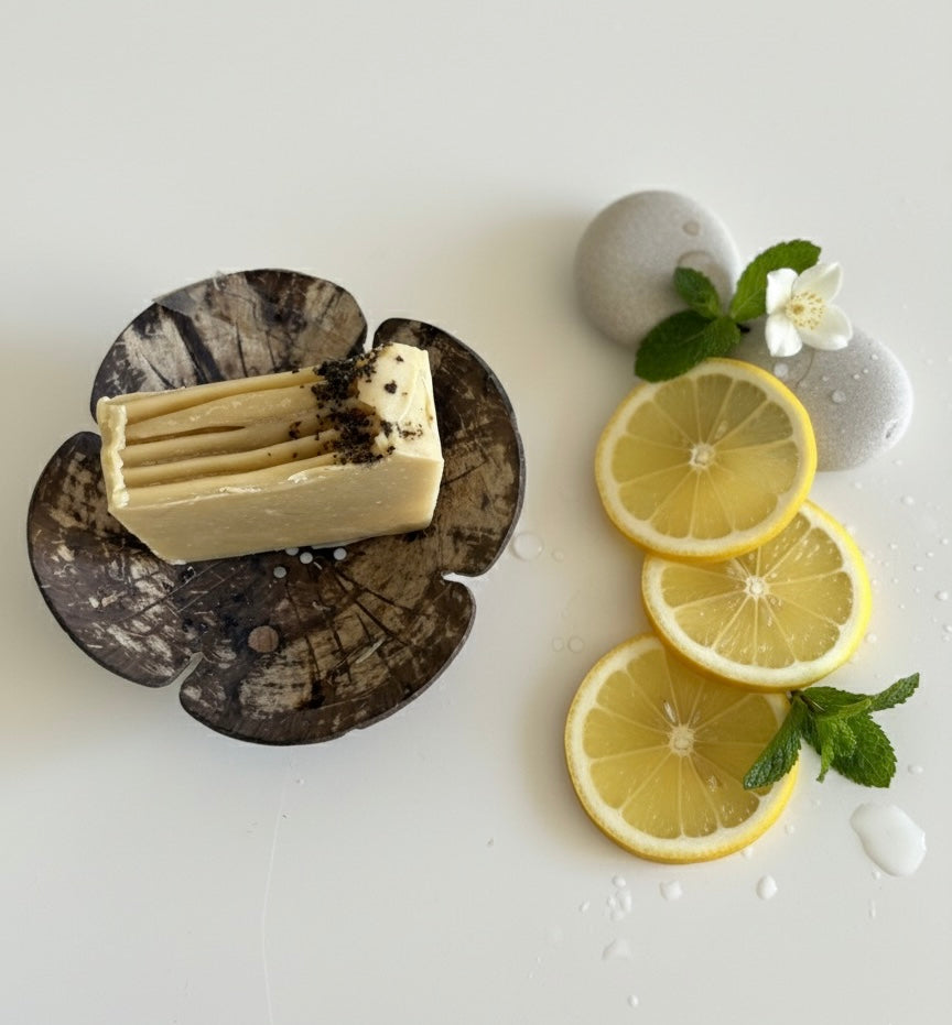 Sunshine Box 🌿🍋